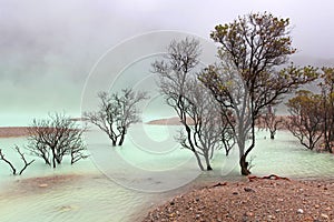 KAWAH PUTIH - BANDUNG, JAVA IN INDONESIA