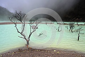 KAWAH PUTIH - BANDUNG, JAVA IN INDONESIA photo