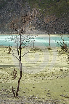 Kawah Putih, the sulfurous volcanic crater lake