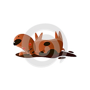 Kawai brown cartoon dog wallowing in mud puddle isolated on white background