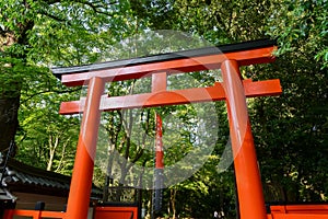 Kawai-jinja Shrine of fresh verdure in the evening, Kyoto, Japan