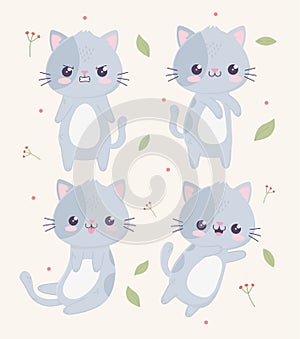 Kawaii cartoon cute cats characters gesture faces expressions