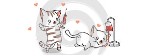 Kawaii cats in health day illustration