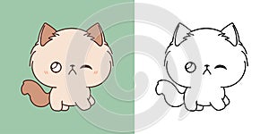 Kawaii Clipart Rabbit Illustration and For Coloring Page. Funny Kawaii Kitty. Cute Vector Illustration of a Kawaii