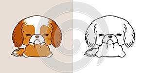 Kawaii Clipart Shih Tzu Dog Illustration and For Coloring Page. Funny Kawaii Puppy