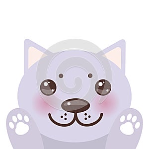 Kawaii funny lilac cat muzzle with pink cheeks and big black eyes Cat`s paws isolated on white background. Perfect for a greeting