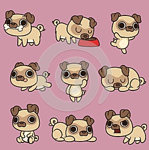 Cute kawaii cartoon pug in different poses photo