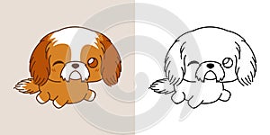 Kawaii Shih Tzu Dog Clipart Multicolored and Black and White. Cute Kawaii Puppy.