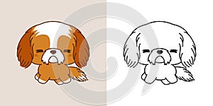 Kawaii Shih Tzu Dog for Coloring Page and Illustration. Adorable Clip Art Puppy.