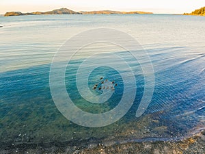 Kawakawa Bay Beach, New Zealand in summer