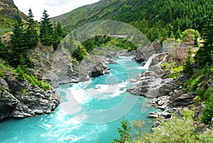 Kawarau river and forest