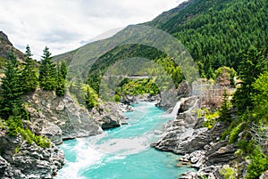 Kawarau river and forest ,Queenstown, New Zealand