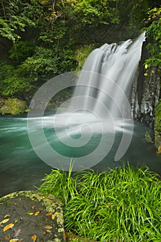 Kawazu waterfall trail, Izu Peninsula, Japan