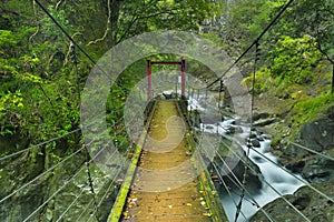 Kawazu waterfall trail, Izu Peninsula, Japan