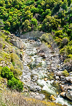 The Kaweah River in Sequoia National Park, California