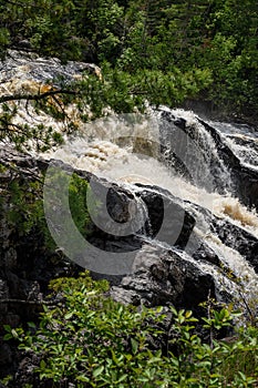 Kawishiwi Falls Through Pine Trees