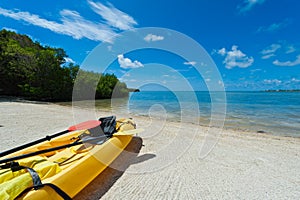 Kayak in the beach photo