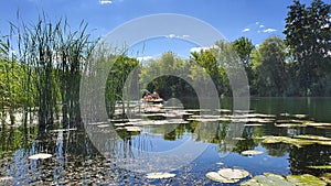 Kayak comes out from behind the reeds