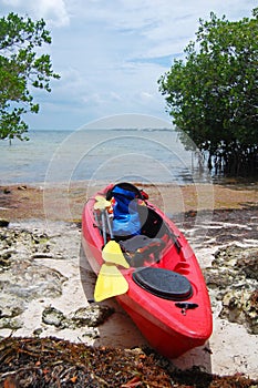 Kayak expedition