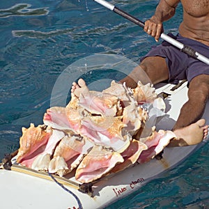 Kayak full of conch square