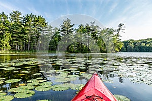 Kayak on Lake with lily pads