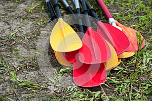 Kayak oars and paddles on the river bank