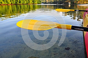 Kayak Paddle