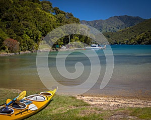 Kayak on the shore in Marlborough sounds