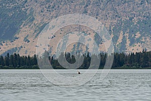 Kayaker paddling on Klamath Lake in Southern Oregon photo