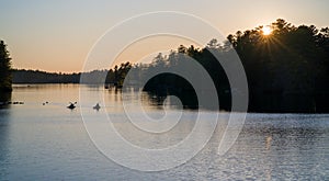 Kayakers and boaters on the lake water along the thickly growing forest vegetation at sunset