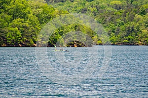 Kayakers on Carvins Cove Natural Reserve