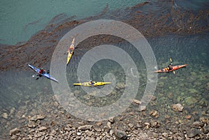 Kayakers at Deception Pass