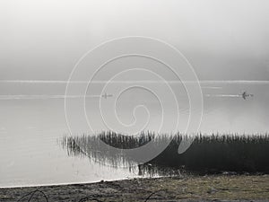 Kayakers on a foggy lake