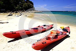 Kayaking Abel Tasman (3)