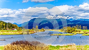 Kayaking on the Alouette River seen from the at the Pitt Polder near Maple Ridge in British Columbia, Canada