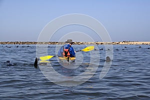 Kayaking around Pelican Point