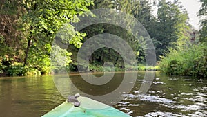 Kayaking on a beautiful river