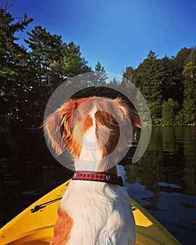 Kayaking Buddy