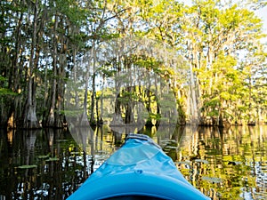 Kayaking in Caddo Lake State Park