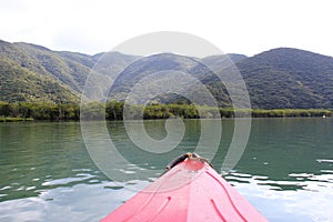 Kayaking the calm water of the mangrove forest river in Amami Oshima Island