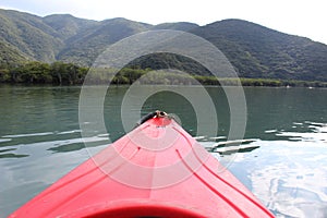 Kayaking the calm water of the mangrove forest river in Amami Oshima Island photo