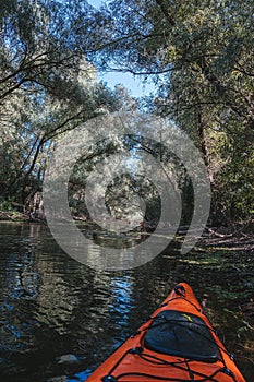 Kayaking on canals in Danube Delta on a sunny day