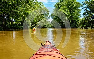 Kayaking on a creek in Central Kentucky