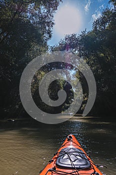 Kayaking in Danube Delta on a sunny day