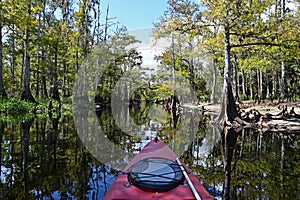 Kayaking on Fisheating Creek, Florida.