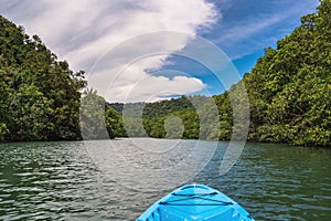 Kayaking on the Klong Chao river at koh kood island trat thailand.