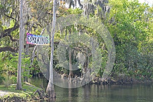 Kayaking on the Shingle Creek in the Shingle Creek Regional Park, Osceola County, Kissimmee, Florida