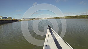 Kayaking sloughs in California