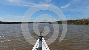 Kayaking Smith Slough in California