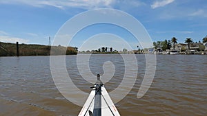 Kayaking Smith Slough in California